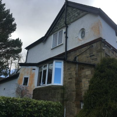 Large gable end with algae problem 