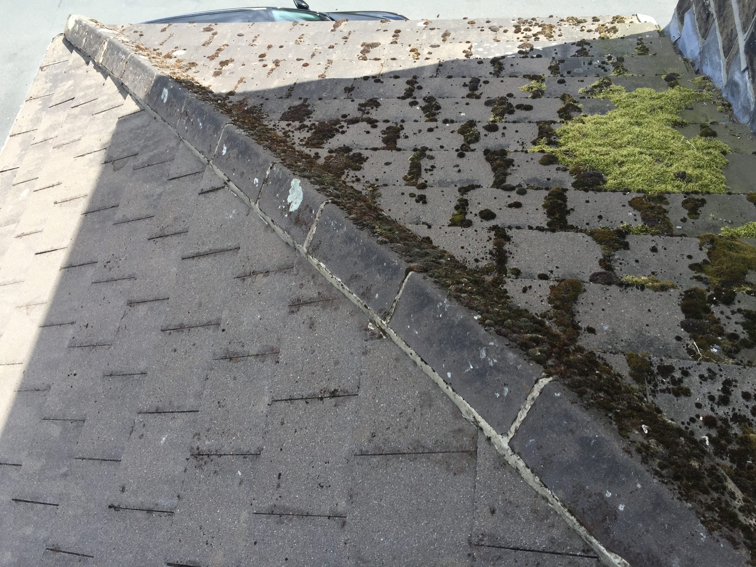 Heavy moss growth spreading across one side of a concrete-tiled roof in Ilkley.