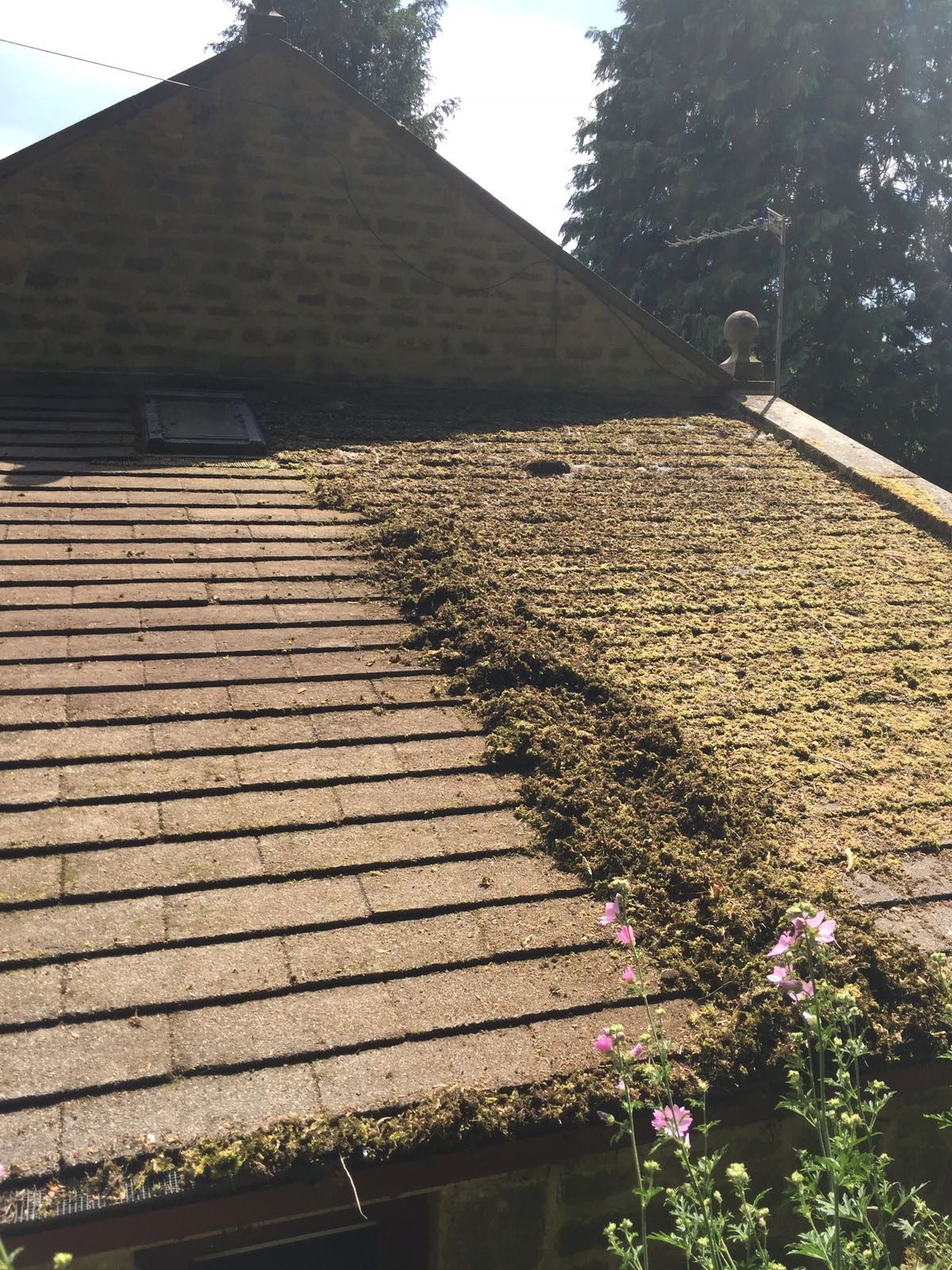 A roof partially cleared of moss