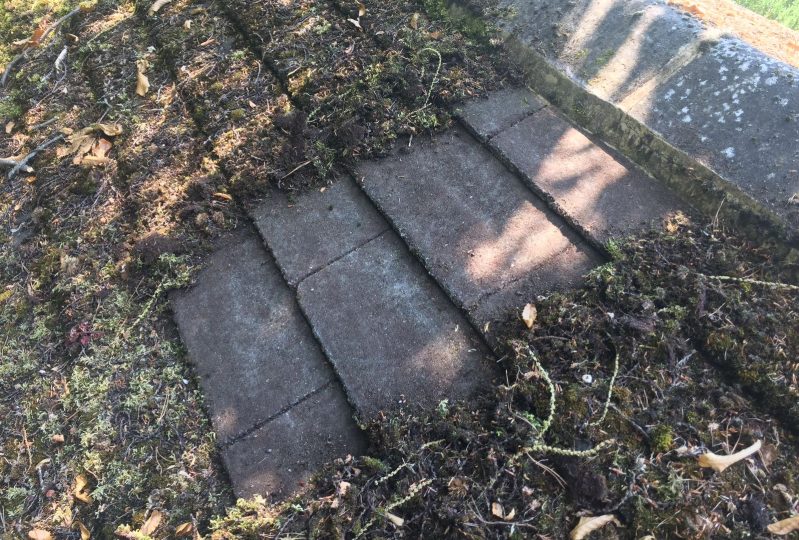 roof covered in debris