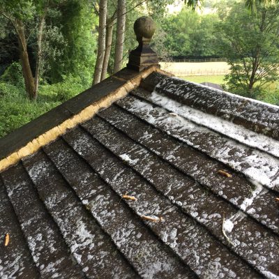 Roof soaked in anti moss product