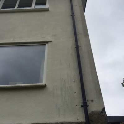 Green-grey algae streaks running down a light-coloured rendered wall beside the rainwater downpipe before cleaning.