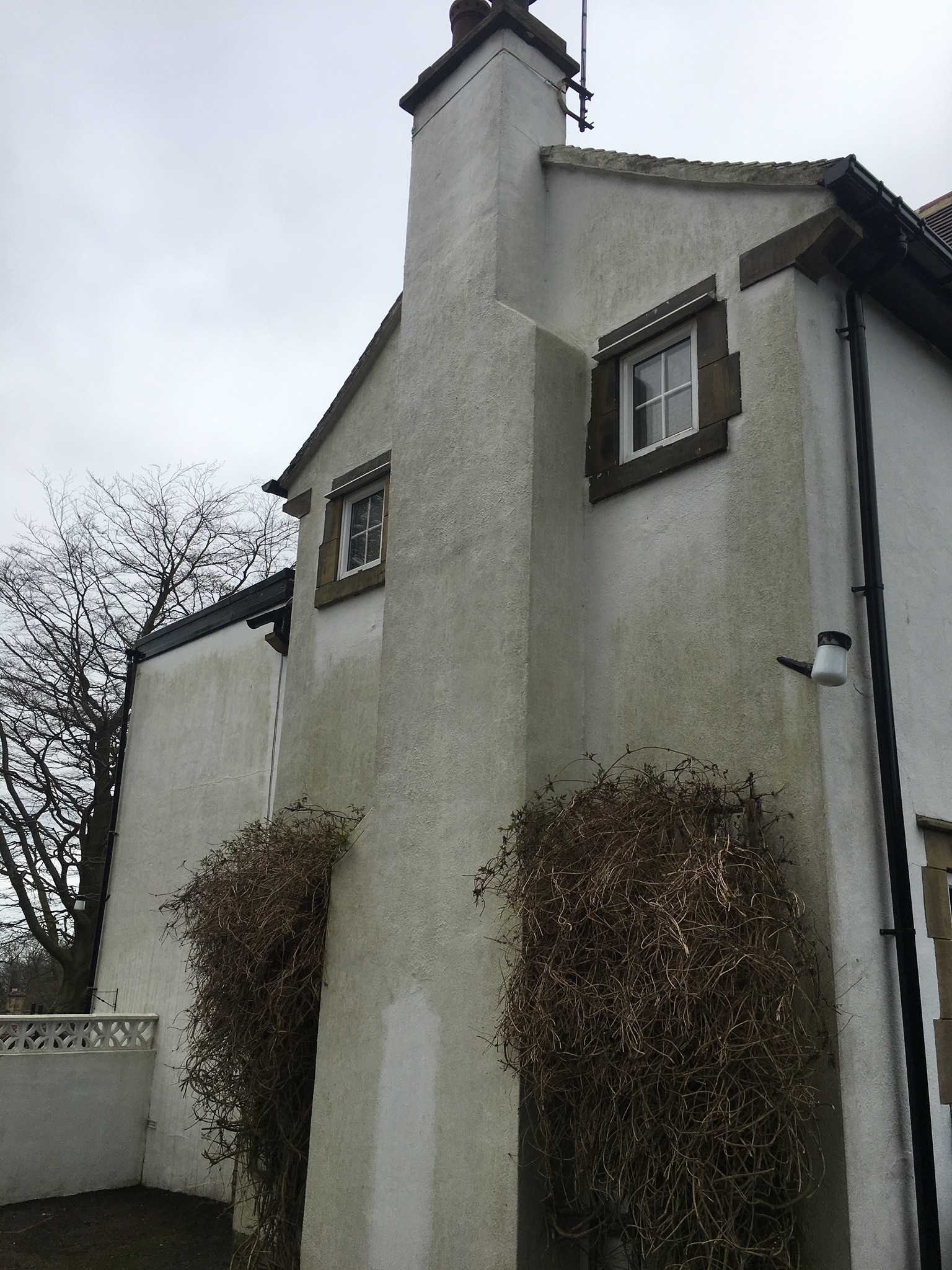 Two-storey roughcast-rendered house with a chimney breast, stone-framed windows and green algae staining before cleaning in Harrogate.