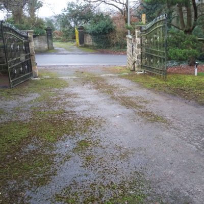 moss infested on tarmac driveway