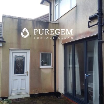 mould infested on k render
