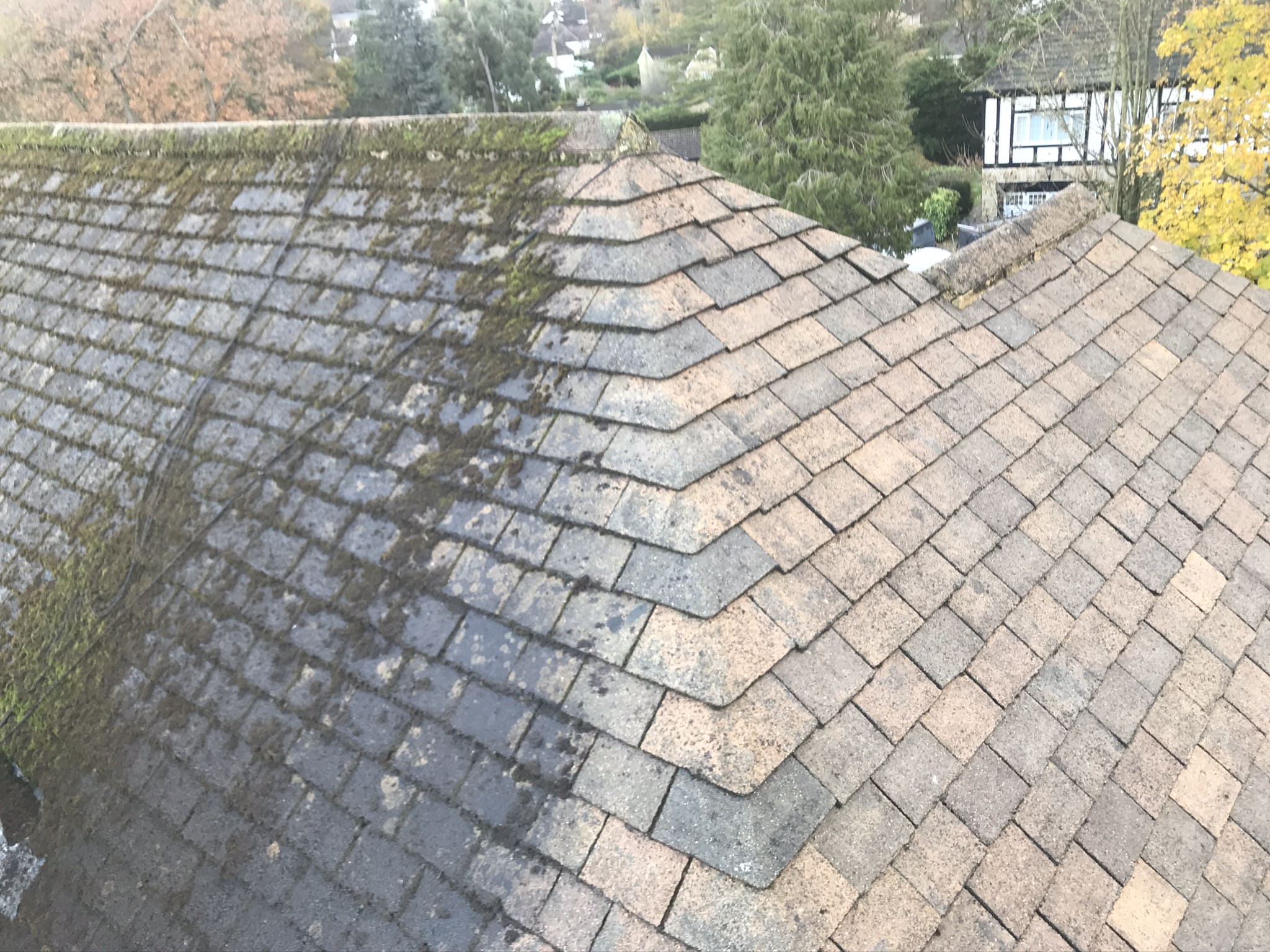 Concrete roof tiles during professional cleaning, showing moss-covered and cleaned sections.