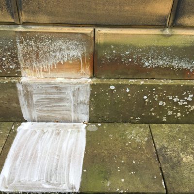 Cleaning test patches applied to algae- and lichen-stained sandstone wall and paving in Leeds, West Yorkshire.