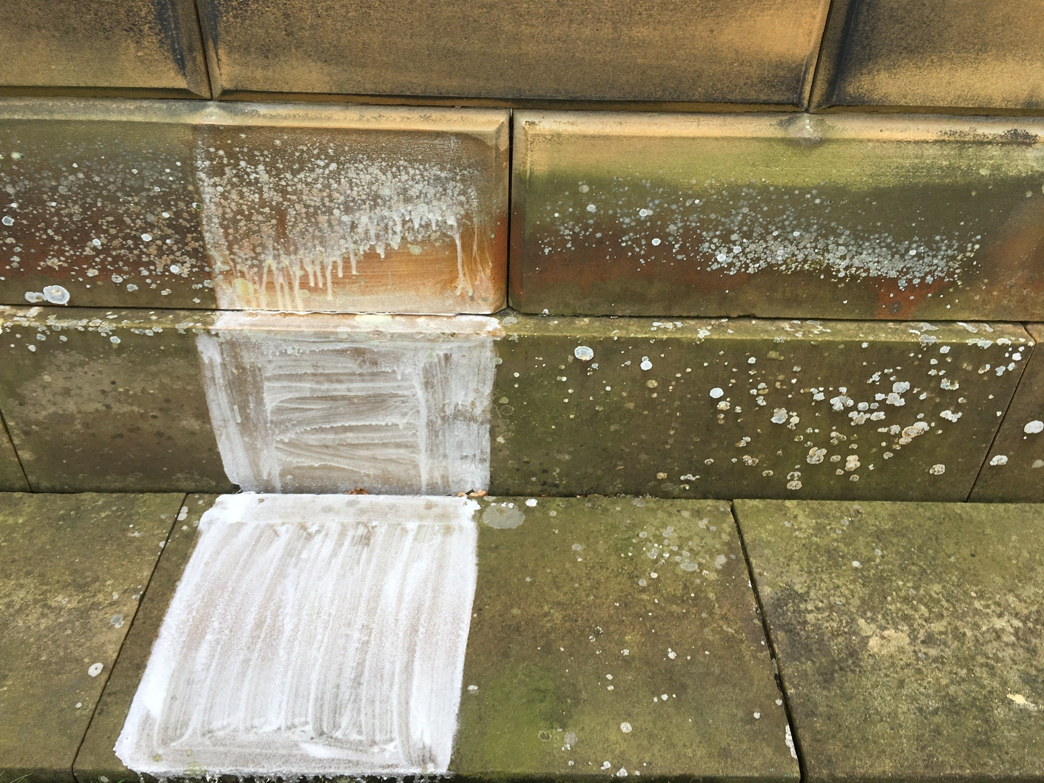 Cleaning test patches applied to algae- and lichen-stained sandstone wall and paving in Leeds, West Yorkshire.